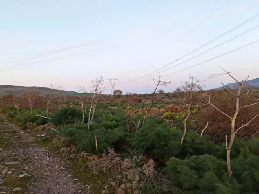 Immagine 4 di Terreno in vendita  in Contrada Balze Sottane a Bronte