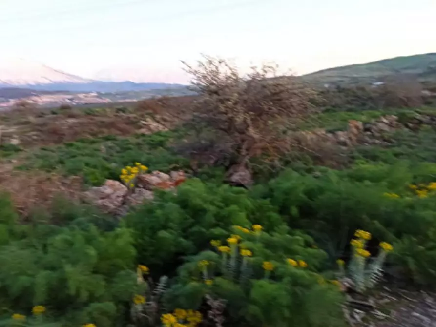 Immagine 5 di Terreno in vendita  in Contrada Balze Sottane a Bronte