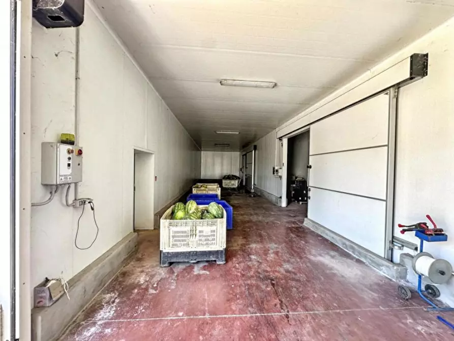 Immagine 28 di Capannone industriale in vendita  in Via XX Settembre, Nardò LE, Italia a Nardo'