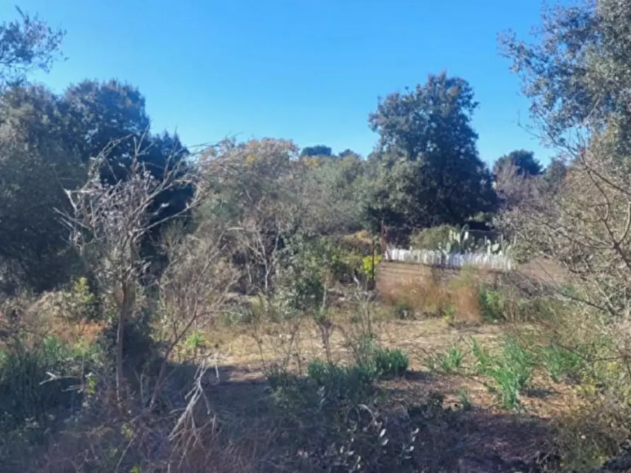 Immagine 2 di Terreno in vendita  in Contrada Mandre Bonforte, Via dei Gerani a Pedara