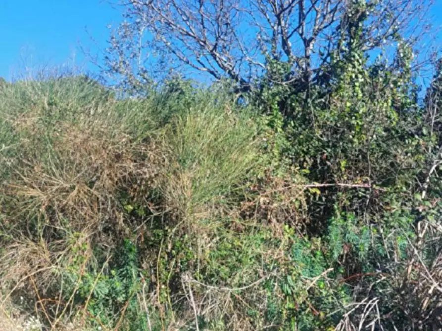 Immagine 3 di Terreno in vendita  in Contrada Mandre Bonforte, Via dei Gerani a Pedara