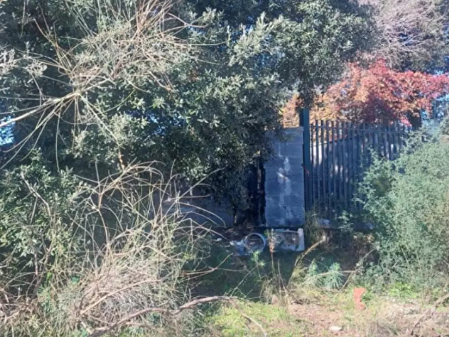 Immagine 5 di Terreno in vendita  in Contrada Mandre Bonforte, Via dei Gerani a Pedara