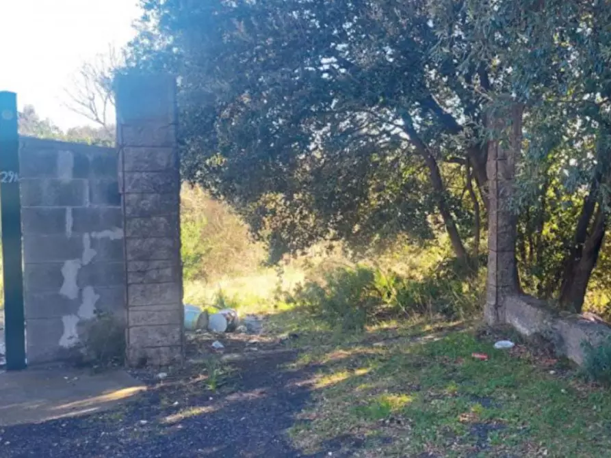 Immagine 6 di Terreno in vendita  in Contrada Mandre Bonforte, Via dei Gerani a Pedara