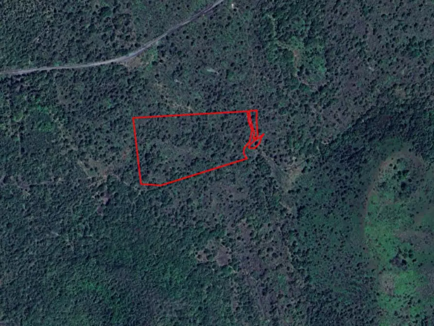Immagine 1 di Terreno in vendita  in Contrada Rinatura e Monte Arso a Nicolosi