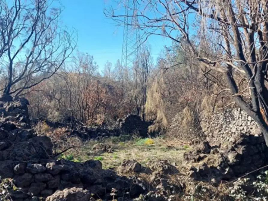 Immagine 3 di Terreno in vendita  in Contrada Rinatura e Monte Arso a Nicolosi