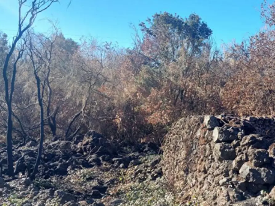 Immagine 4 di Terreno in vendita  in Contrada Rinatura e Monte Arso a Nicolosi