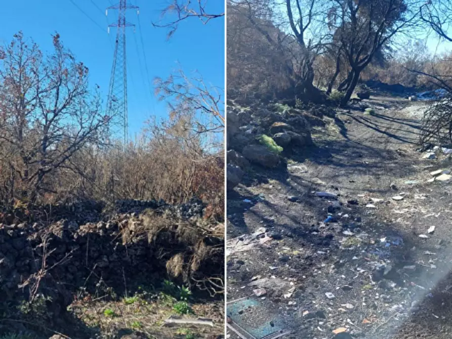 Immagine 6 di Terreno in vendita  in Contrada Rinatura e Monte Arso a Nicolosi