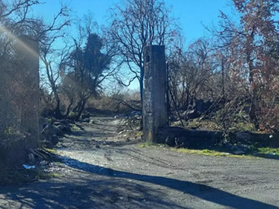 Immagine 7 di Terreno in vendita  in Contrada Rinatura e Monte Arso a Nicolosi