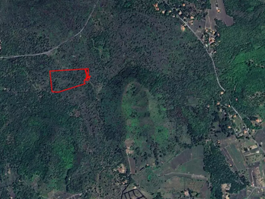 Immagine 8 di Terreno in vendita  in Contrada Rinatura e Monte Arso a Nicolosi