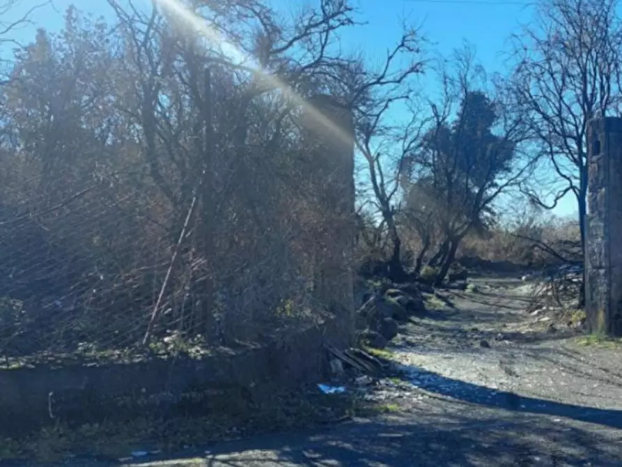 Immagine 9 di Terreno in vendita  in Contrada Rinatura e Monte Arso a Nicolosi