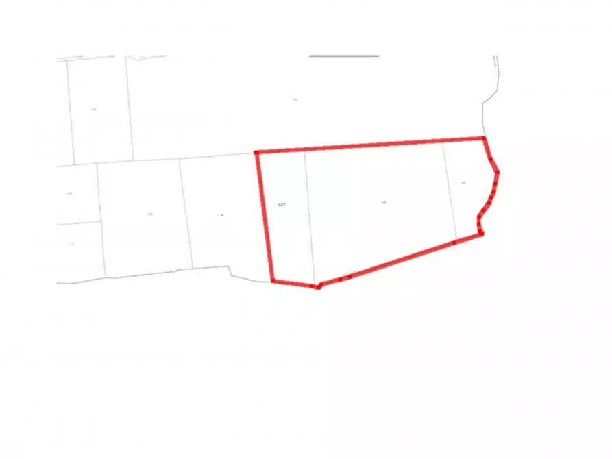 Immagine 10 di Terreno in vendita  in Contrada Rinatura e Monte Arso a Nicolosi