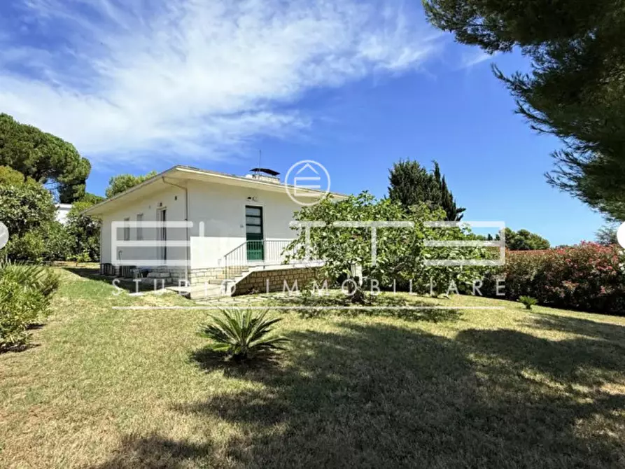 Immagine 2 di Villa in affitto  a Numana