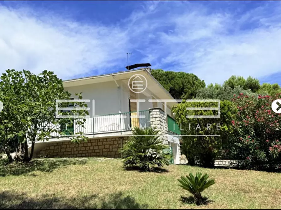 Immagine 4 di Villa in affitto  a Numana