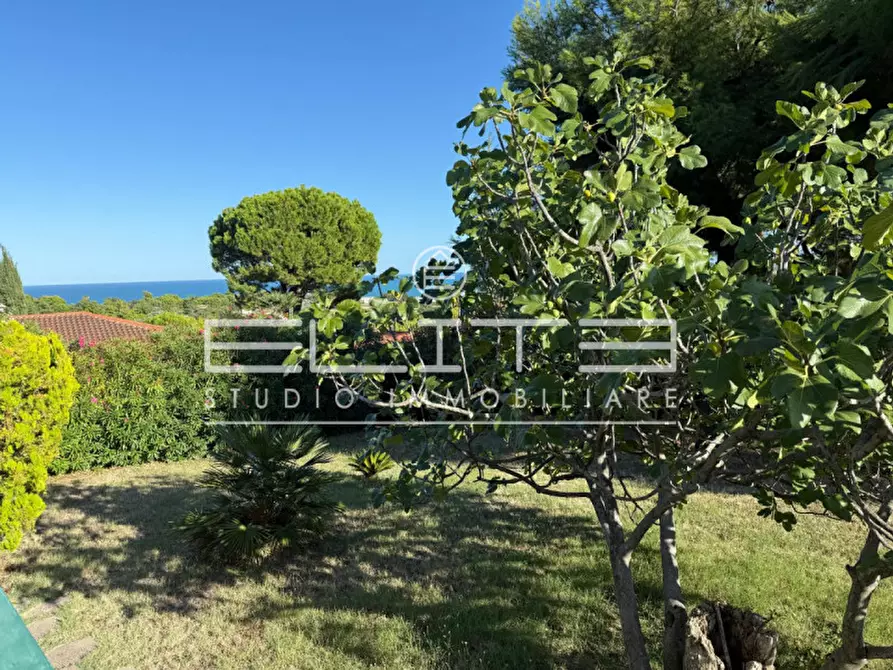 Immagine 5 di Villa in affitto  a Numana