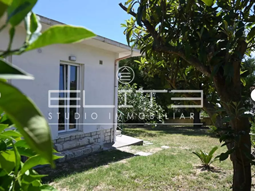 Immagine 6 di Villa in affitto  a Numana