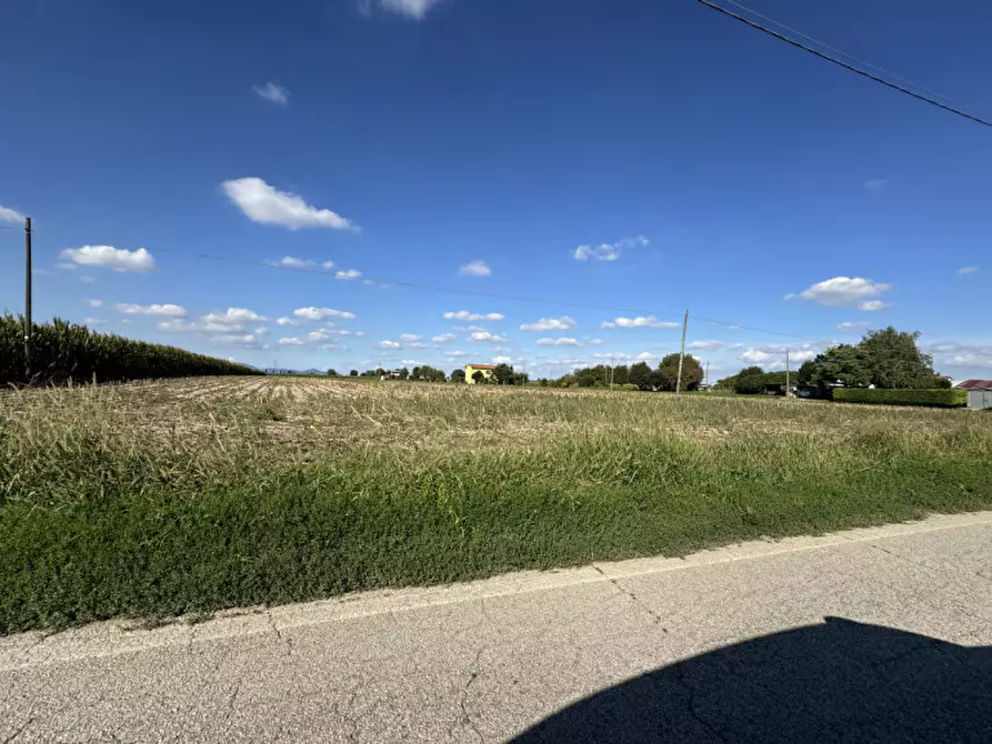 Immagine 2 di Terreno in affitto  in Via Foscarina a Barbona