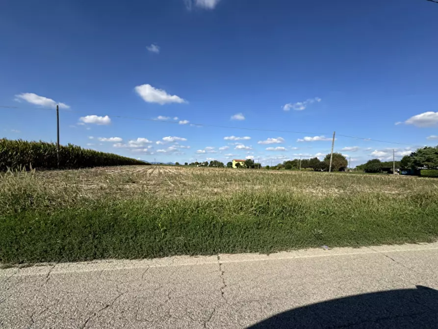 Immagine 3 di Terreno in affitto  in Via Foscarina a Barbona