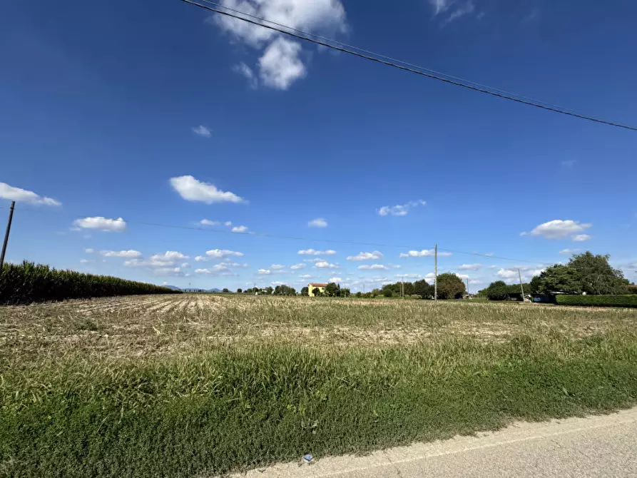 Immagine 4 di Terreno in affitto  in Via Foscarina a Barbona