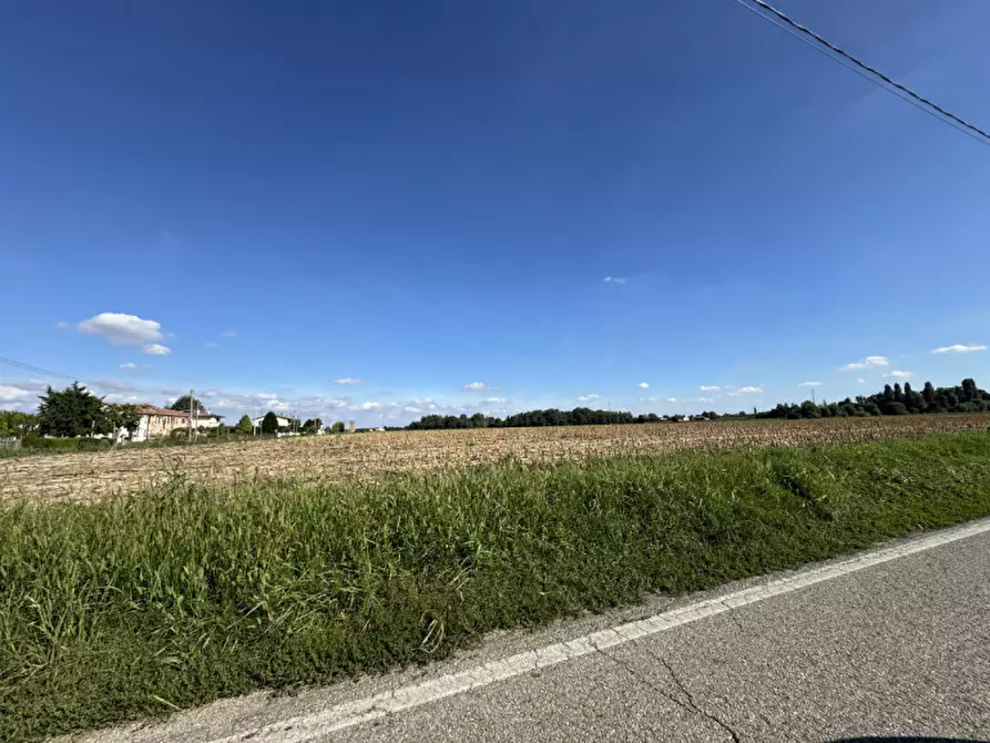 Immagine 5 di Terreno in affitto  in Via Foscarina a Barbona