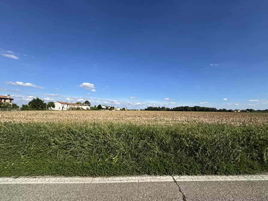 Immagine 6 di Terreno in affitto  in Via Foscarina a Barbona