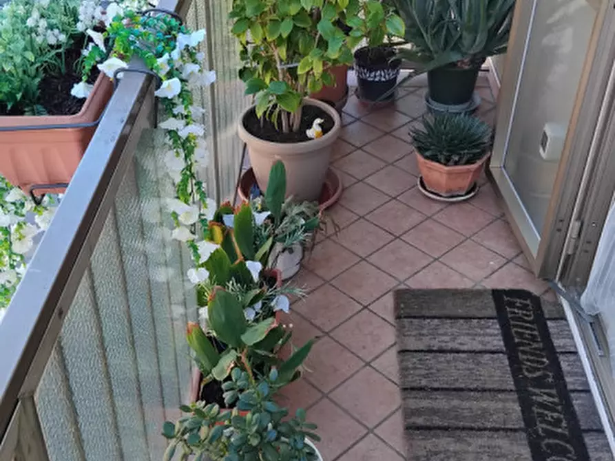 Immagine 10 di Appartamento in vendita  in via friuli a Venezia