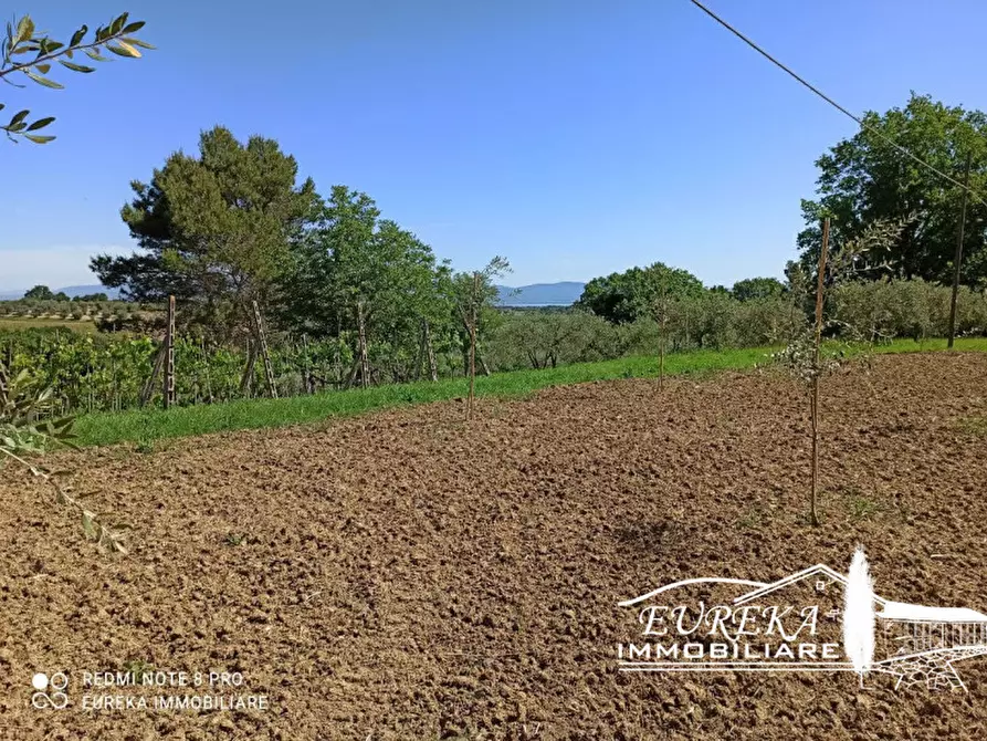 Immagine 2 di Terreno in vendita  in località la villa a Castiglione Del Lago