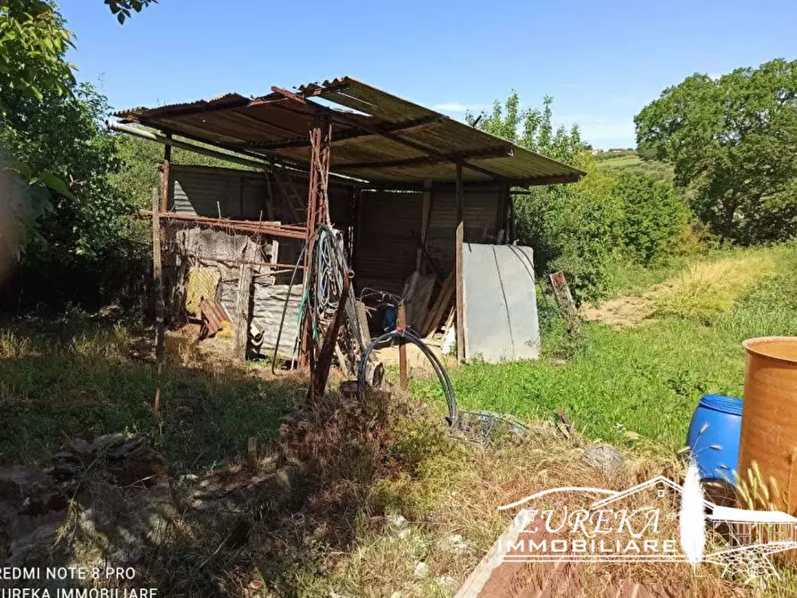 Immagine 4 di Terreno in vendita  in località la villa a Castiglione Del Lago