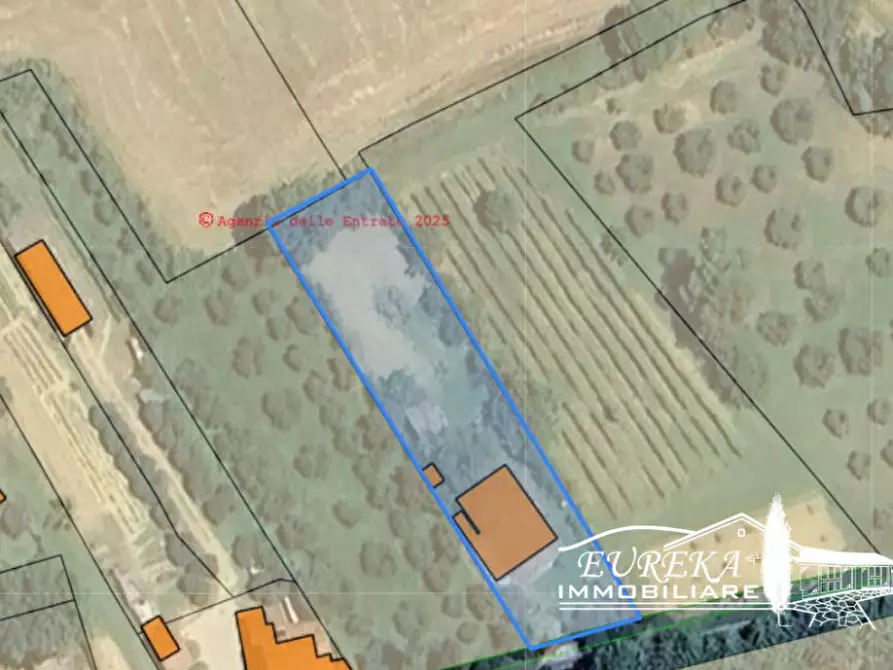 Immagine 9 di Terreno in vendita  in località la villa a Castiglione Del Lago