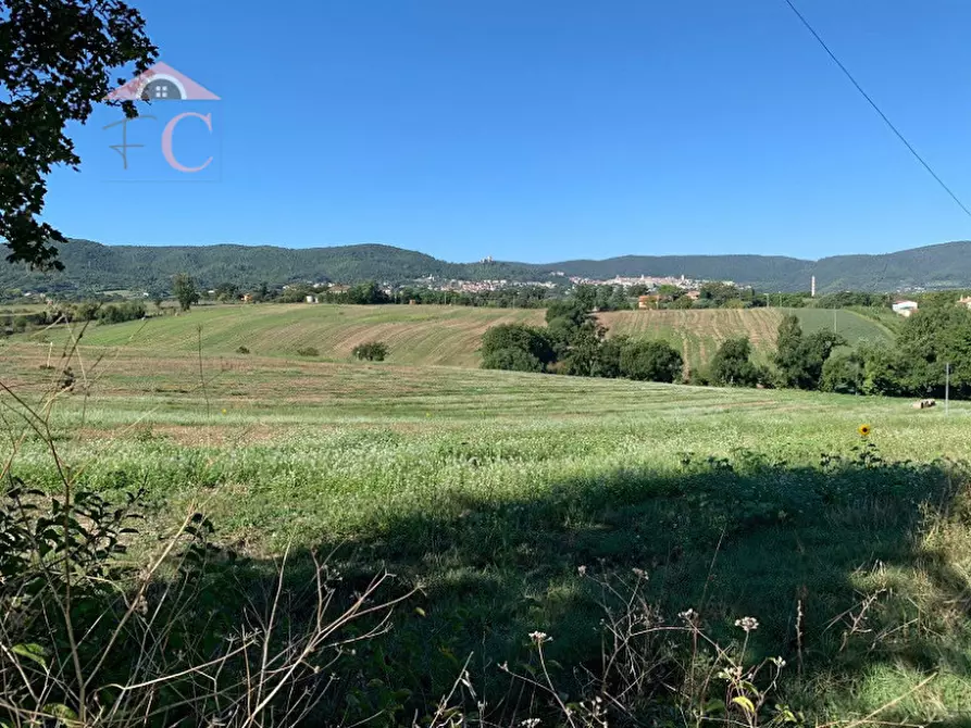 Immagine 2 di Rustico / casale in vendita  in VIA FLAMINIA TERNANA a Narni