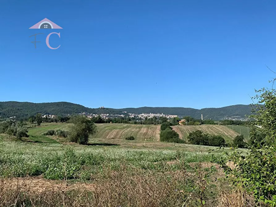 Immagine 6 di Rustico / casale in vendita  in VIA FLAMINIA TERNANA a Narni