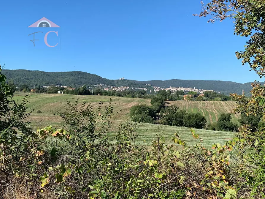 Immagine 7 di Rustico / casale in vendita  in VIA FLAMINIA TERNANA a Narni
