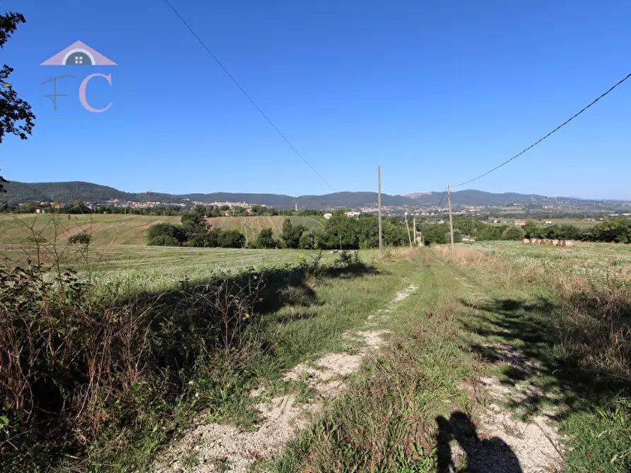 Immagine 10 di Rustico / casale in vendita  in VIA FLAMINIA TERNANA a Narni