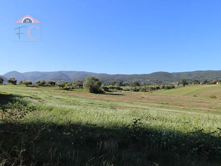 Immagine 11 di Rustico / casale in vendita  in VIA FLAMINIA TERNANA a Narni