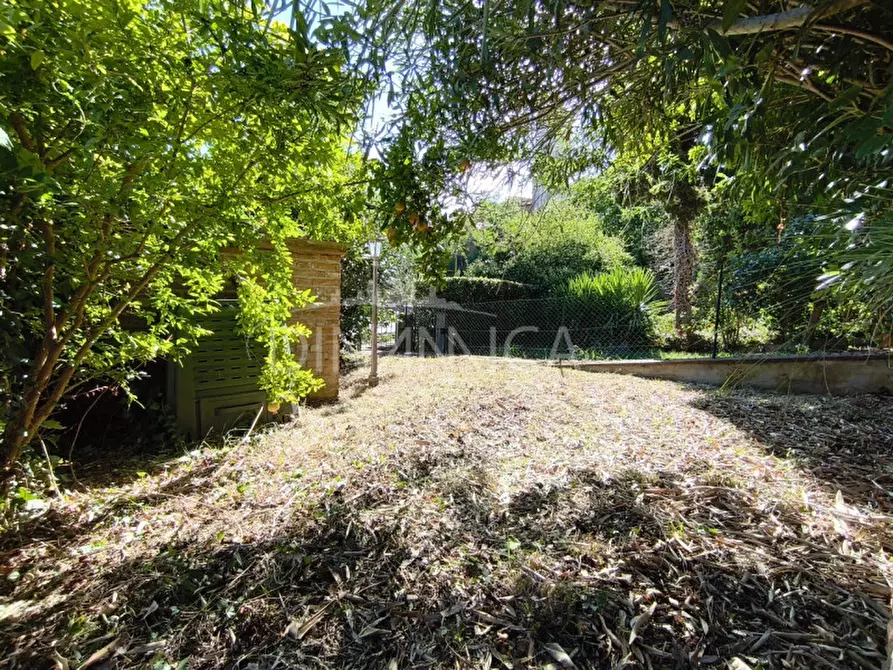 Immagine 17 di Villetta a schiera in vendita  a Palaia