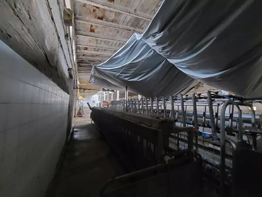 Immagine 8 di Rustico / casale in vendita  in Via Morengo - 24040 Pagazzano (BG) a Pagazzano