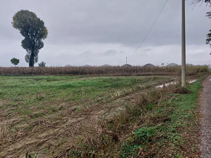 Immagine 10 di Rustico / casale in vendita  in Via Morengo - 24040 Pagazzano (BG) a Pagazzano