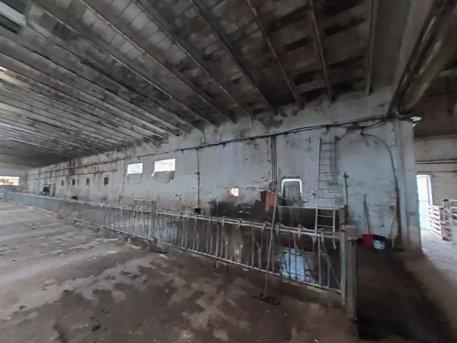 Immagine 11 di Rustico / casale in vendita  in Via Morengo - 24040 Pagazzano (BG) a Pagazzano