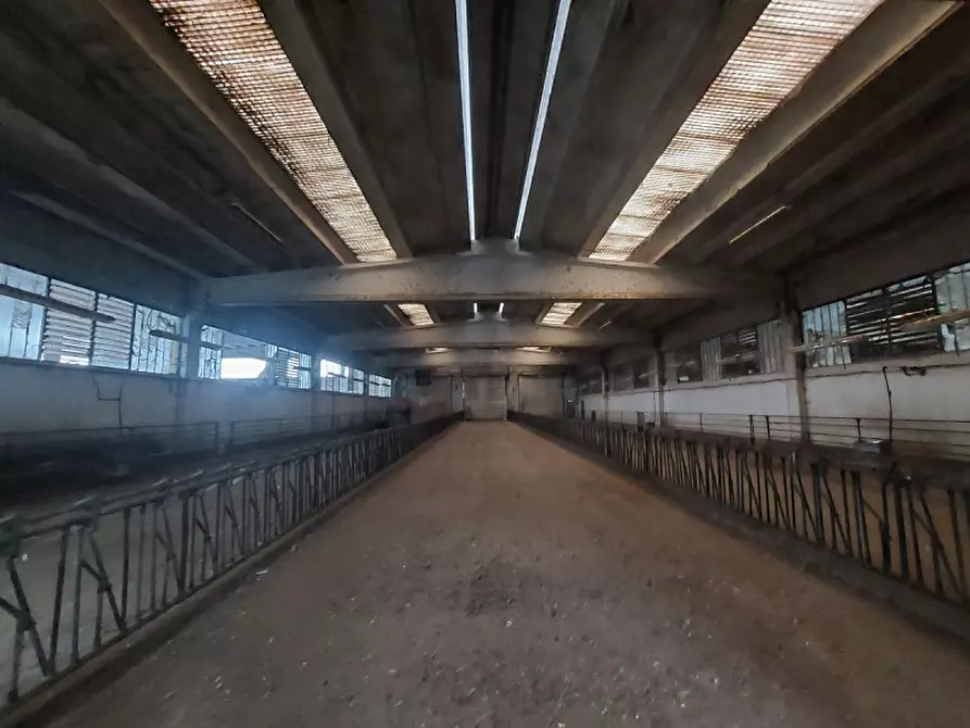 Immagine 12 di Rustico / casale in vendita  in Via Morengo - 24040 Pagazzano (BG) a Pagazzano