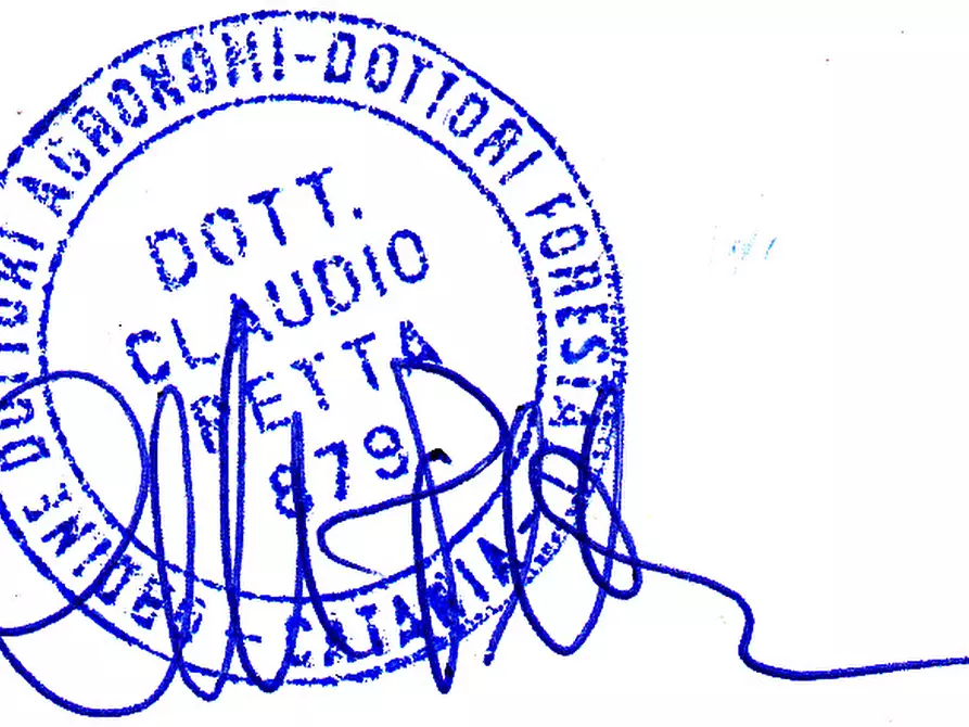 Immagine 1 di Appartamento in vendita  in contrada Campanito Palagonia (CT) a Palagonia