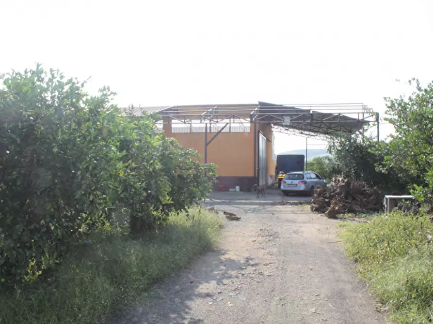 Immagine 3 di Appartamento in vendita  in contrada Campanito Palagonia (CT) a Palagonia