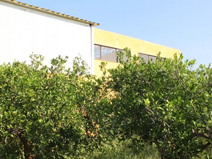 Immagine 4 di Appartamento in vendita  in contrada Campanito Palagonia (CT) a Palagonia