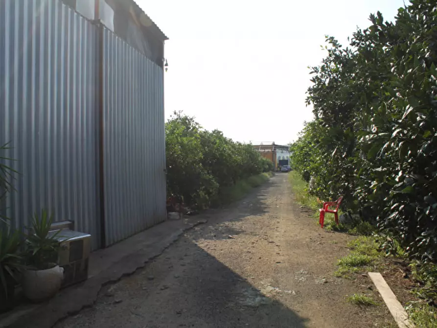 Immagine 5 di Appartamento in vendita  in contrada Campanito Palagonia (CT) a Palagonia