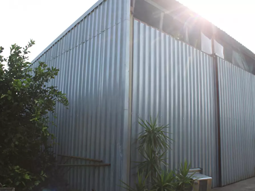 Immagine 6 di Appartamento in vendita  in contrada Campanito Palagonia (CT) a Palagonia