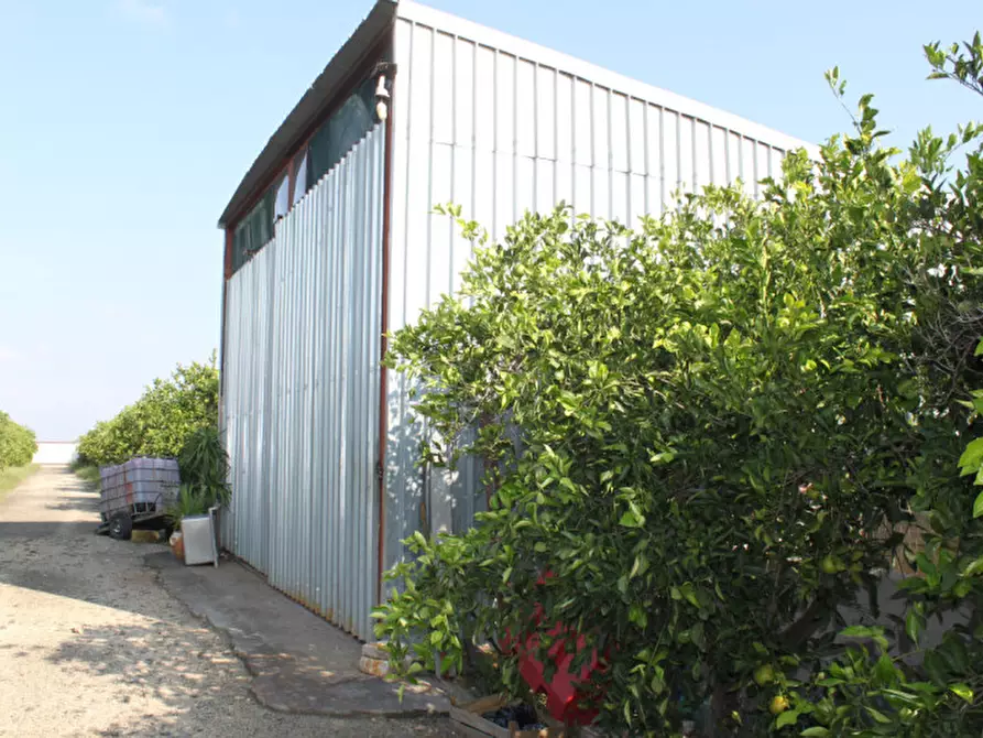 Immagine 7 di Appartamento in vendita  in contrada Campanito Palagonia (CT) a Palagonia