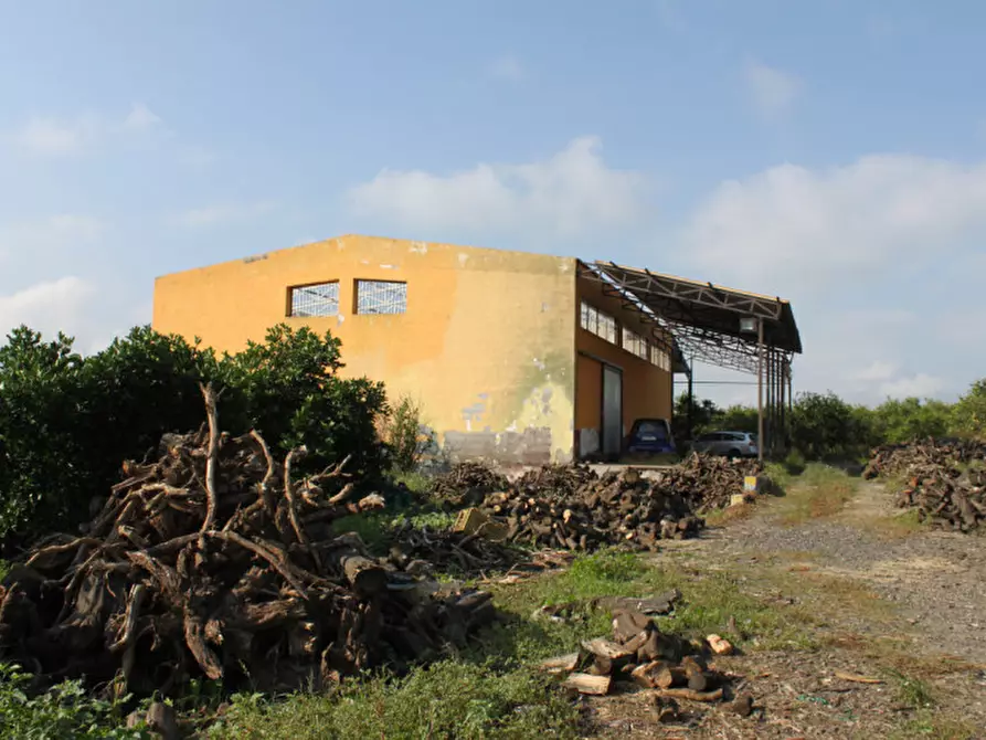 Immagine 8 di Appartamento in vendita  in contrada Campanito Palagonia (CT) a Palagonia