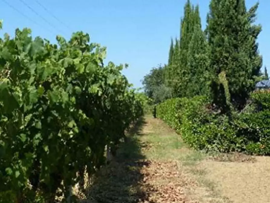 Immagine 5 di Rustico / casale in vendita  in Via Settecrociari, 47522 San Vittore FC, Italia - 46522 Cesena (FC) a Cesena