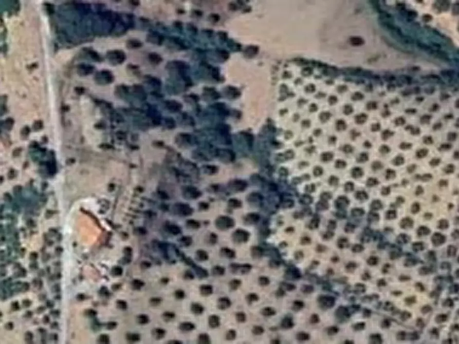 Immagine 20 di Appartamento in vendita  in Piazza De Mundo 4 - 87060 Pietrapaola (CS) a Pietrapaola