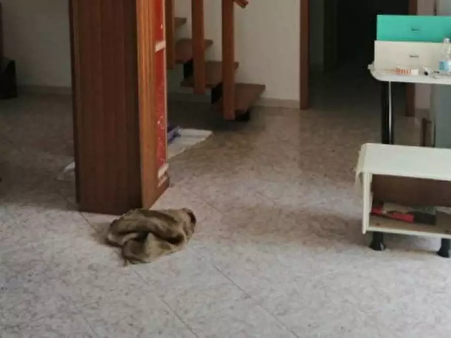 Immagine 4 di Appartamento in vendita  in Via della Pradella 24 - 61040 Serra Sant'Abbondio (PU) a Serra Sant'abbondio