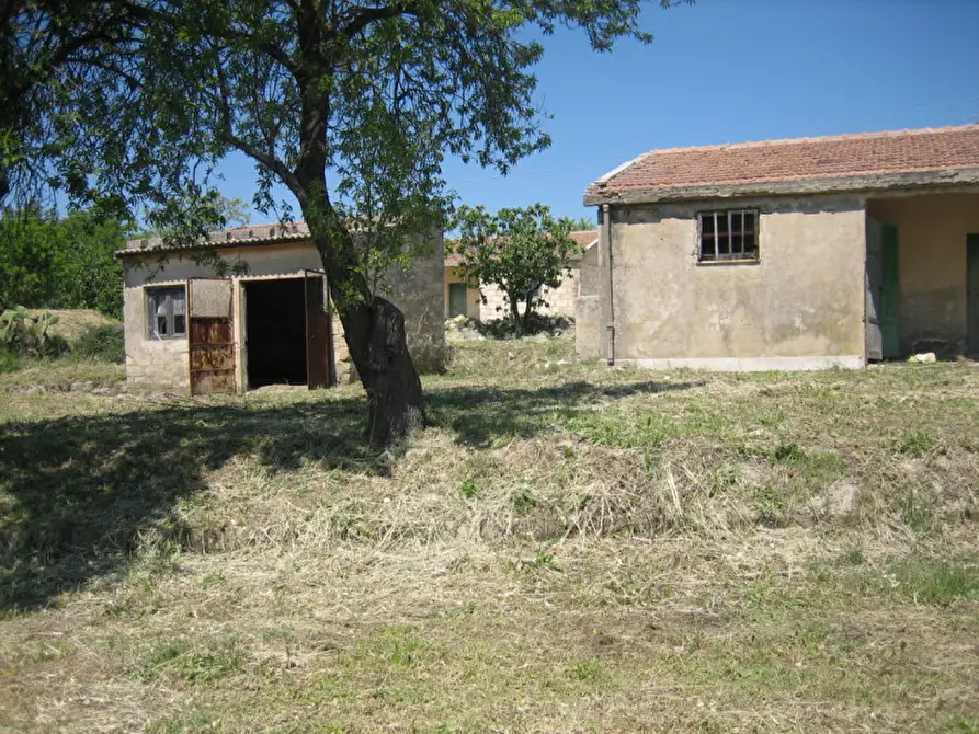 Immagine 3 di Rustico / casale in vendita  in Provinciale 55 a Ragusa