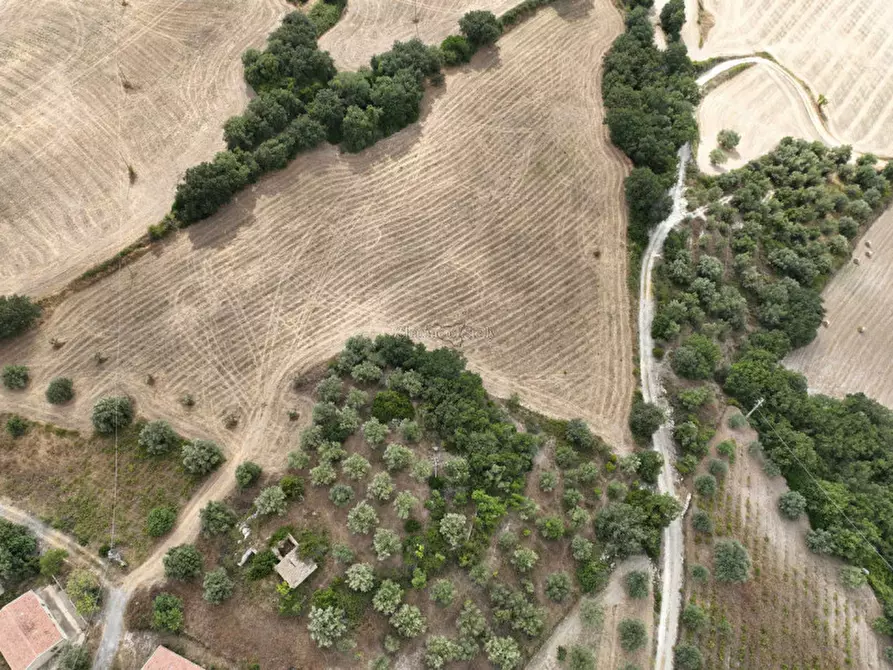 Immagine 9 di Rustico / casale in vendita  a Ragusa